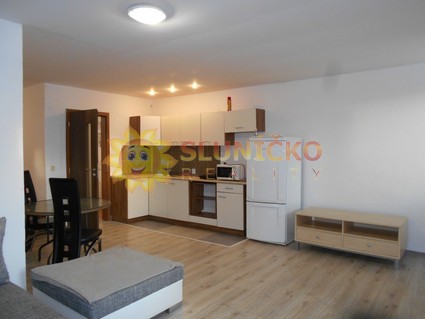 Pronájem cihlového bytu 1+KK / 42m2/  v Hradci Králové - Fotka 3