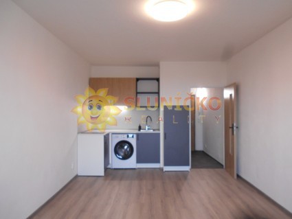 Pronájem pěkné garsonky /27m2/ po kompletní rekonstrukci na Moravském Předměstí - Fotka 1