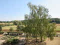 Fotka 5