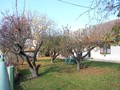 Fotka 5