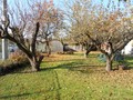 Fotka 6