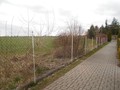 Fotka 11