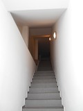 Fotka 9