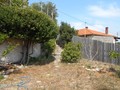 Fotka 35