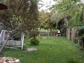 Fotka 23