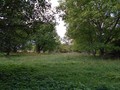 Fotka 24